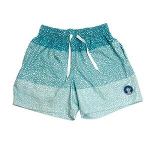 Chubbies Classic Swim Trunk Blue Stripe With Spots Size XS